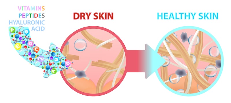 Unlocking the Power of Peptides: How These Tiny Molecules Can Transform Your Health and Aging Process