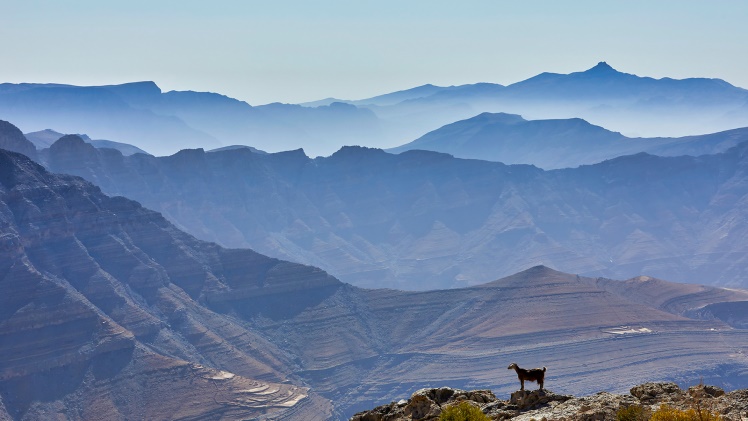 A Step-by-Step Guide to Jebel Jais Mountain Adventure from Dubai