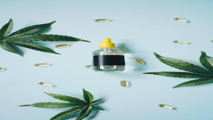 Full Spectrum vs. Isolate CBD: Which Is Right for You?