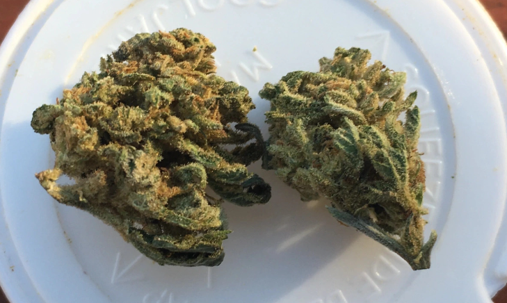 From Store to Couch: The Convenience of Cannabis Delivery Edmonton