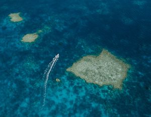 Reasons to Book Cruises from Fremantle