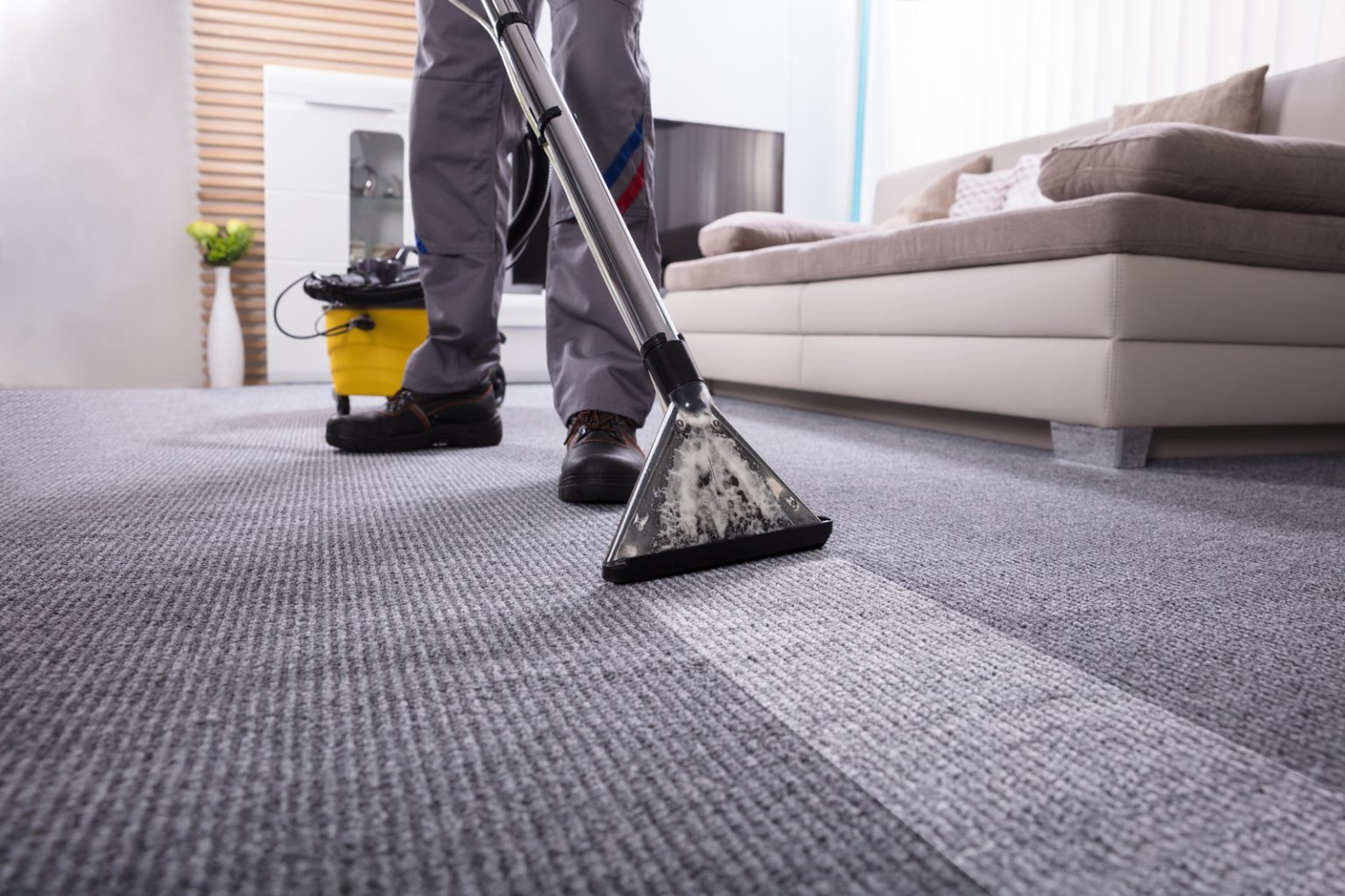 Can Carpet Cleaners Remove Pet Stains?
