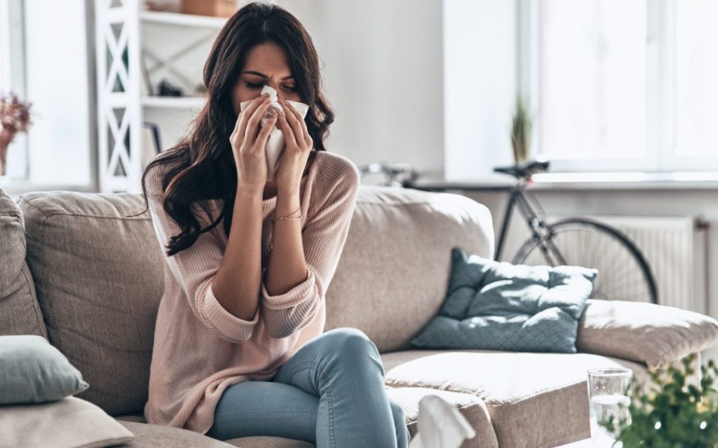 How Pests Can Affect Your Health and What Alder Pest Control Can Do About It?