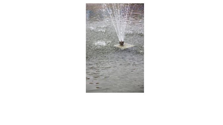 5 Best Small Fountain Pumps For Your Backyard Oasis