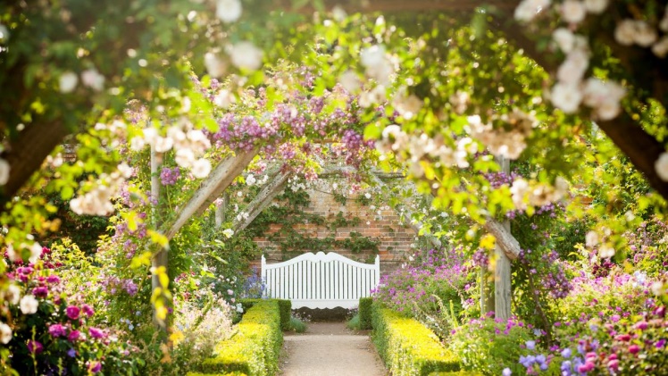 Exploring the Enchanting Beauty of Kew Gardens: A Guide to Tickets and Beyond