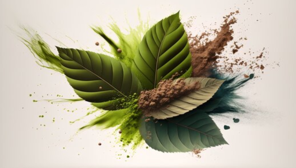 Red Explosion Kratom: A Comprehensive Guide To Legendary Strain
