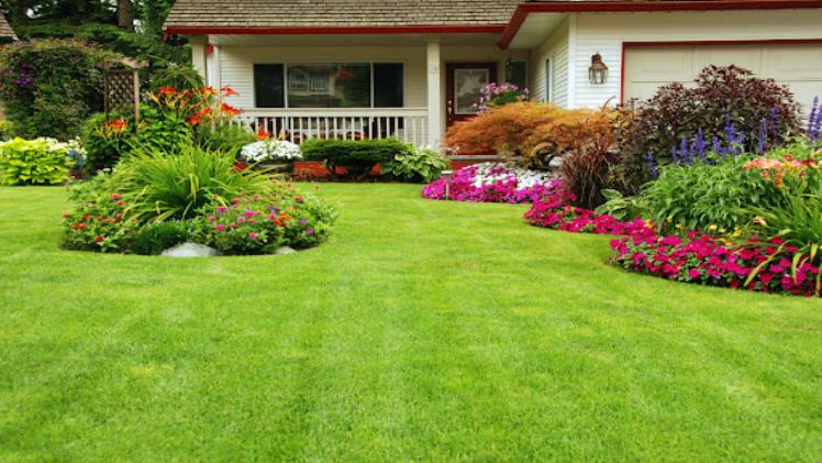 Unleash the Beauty of Professional Landscaping Services