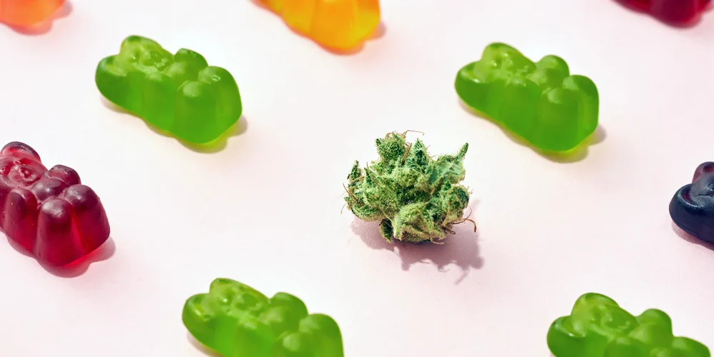Are Delta 9’s Gummies the Perfect Cannabis Edibles for Newbies?