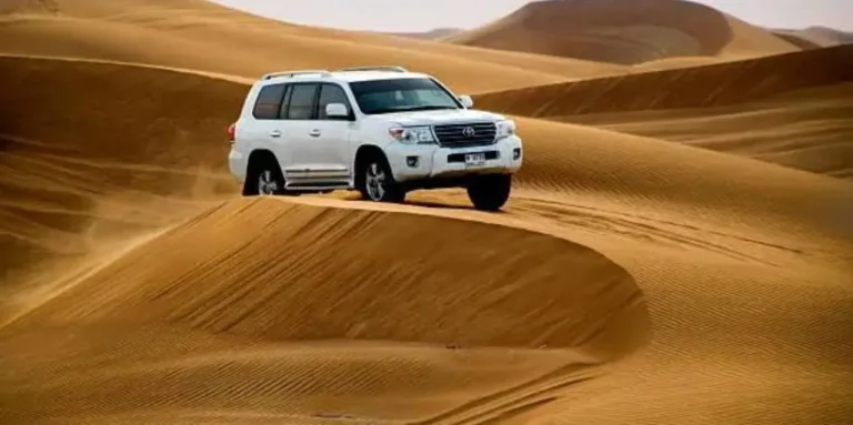 Discover the Magic of the Desert: A Dubai Safari Adventure