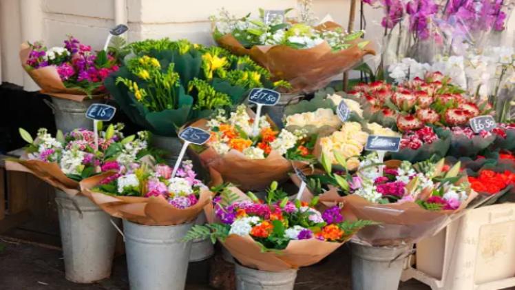 Unveiling Elegance: The Perfect Flower Stand For Grand Openings