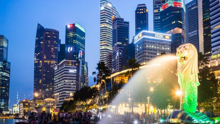 Mastering Company Formation in Singapore: A Complete Handbook