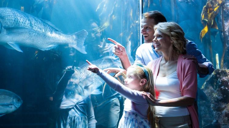 6 Top Aquariums To Visit In The United States