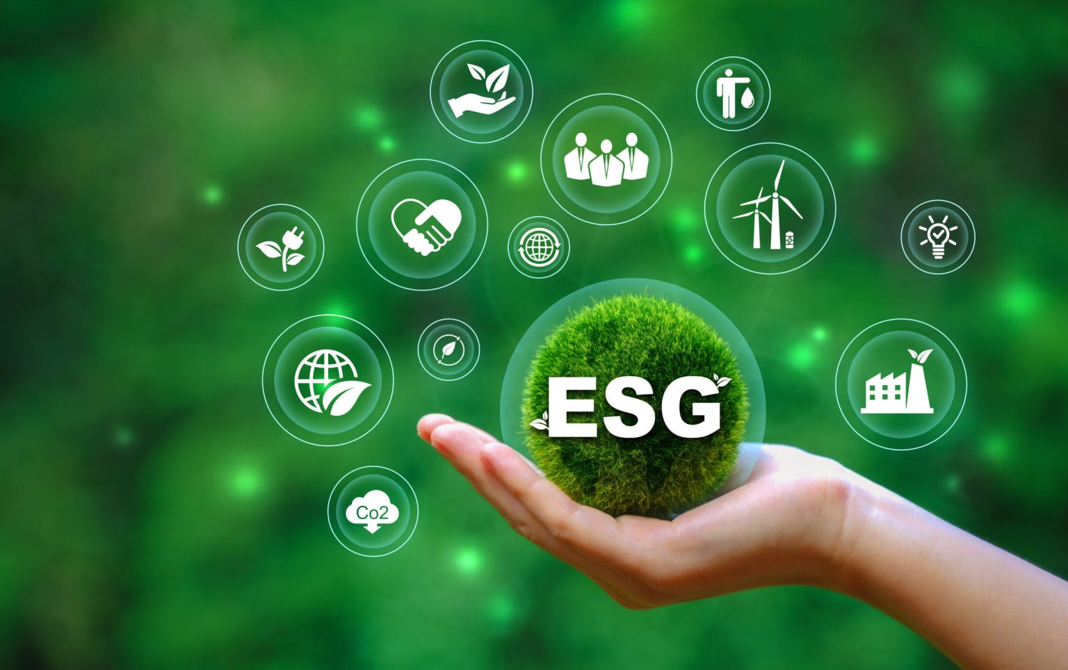 ESG Principles Gain Momentum: A Holistic Approach to Sustainability