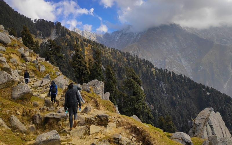 Triund Trek With Thrillophilia- A Detailed Review