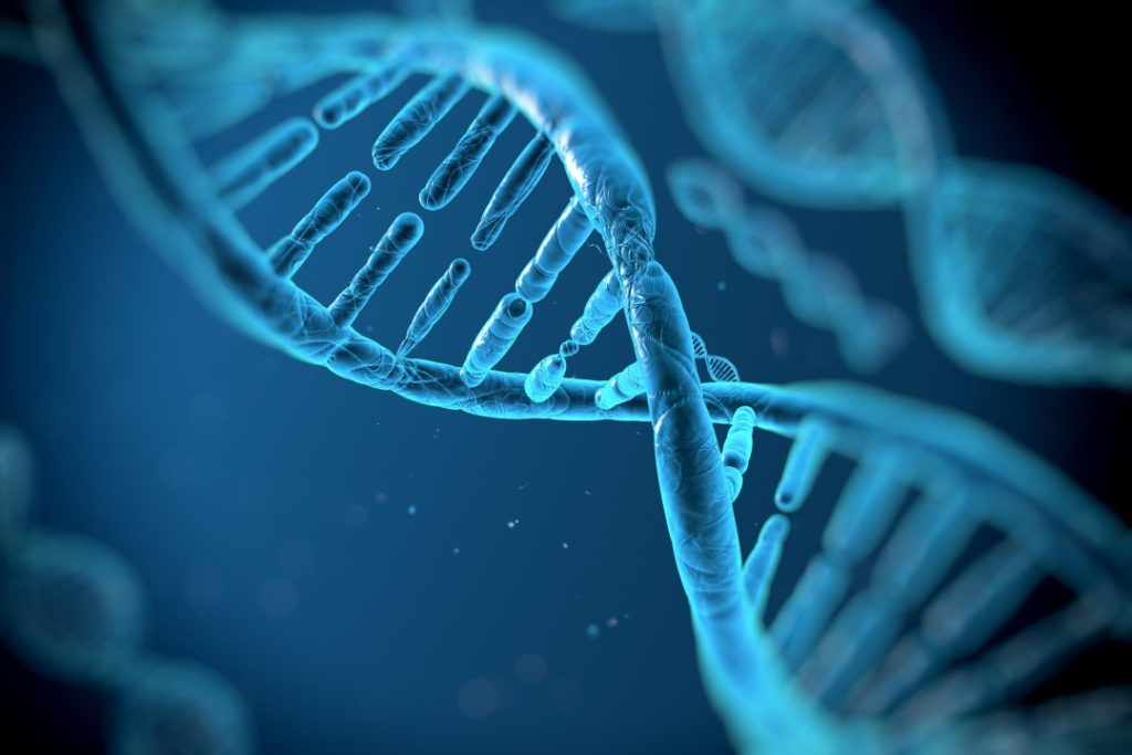 Beyond DNA: Exploring the Frontier of Creation through the Lens of Synthetic Biology