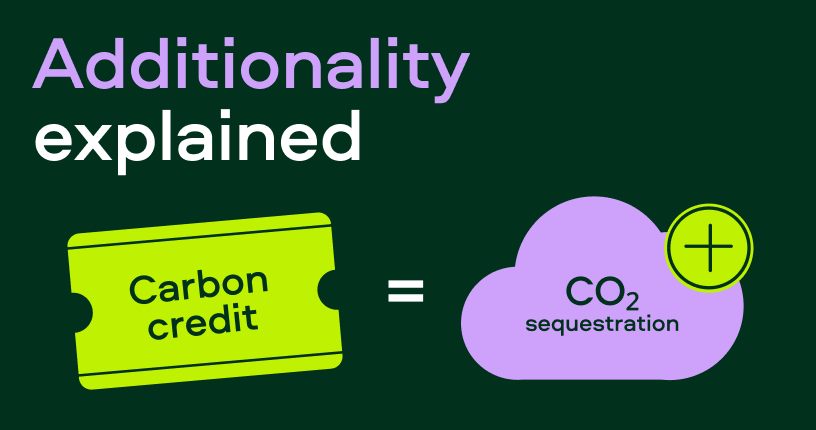 Unlocking Climate Solutions: Understanding Global Carbon Credits