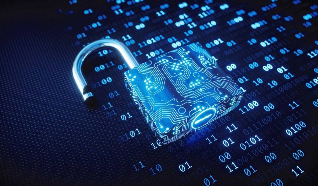 Cybersecurity Essentials for Protecting Your Online Business