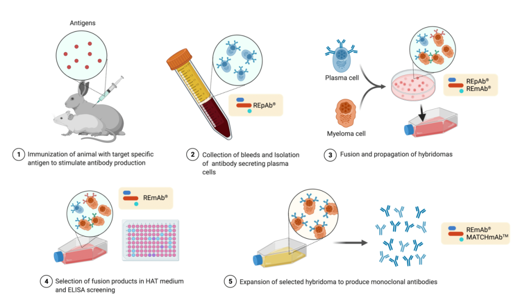 Decoding Life’s Blueprint: Unravelling the Intricacies of Protein Sequencing for Scientific Breakthroughs