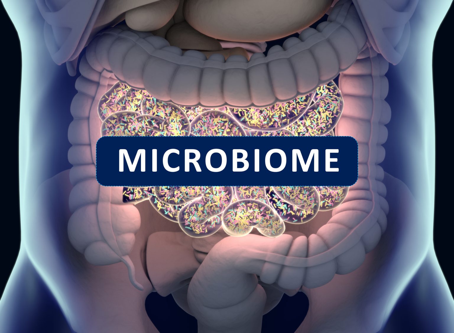 Medical Probiotics – A Natural Way to Maintain a Healthy Gut Microbiome