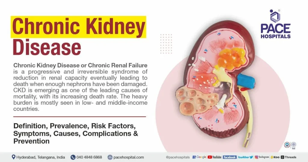 Chronic Kidney Disease: Signs, Symptoms, and Treatments