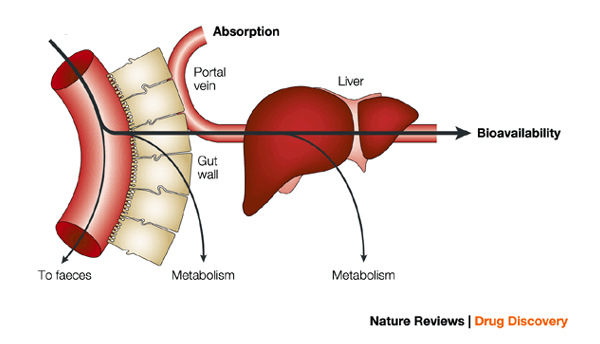 Navigating the Effects of Anandamide