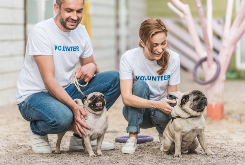Colin Nix Explores The Heartwarming Role of Volunteers in Animal Shelters