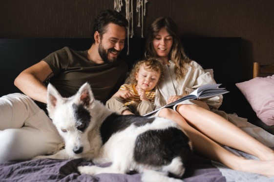 How to Spot Early Signs of Illness in Your Dog or Cat